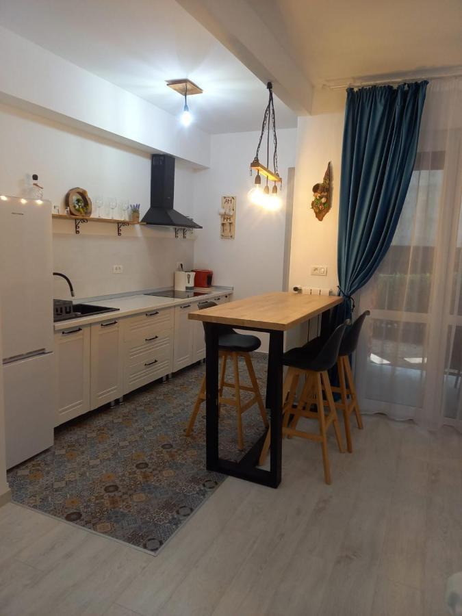 Belleview North Studio Apartment ซินายา ภายนอก รูปภาพ