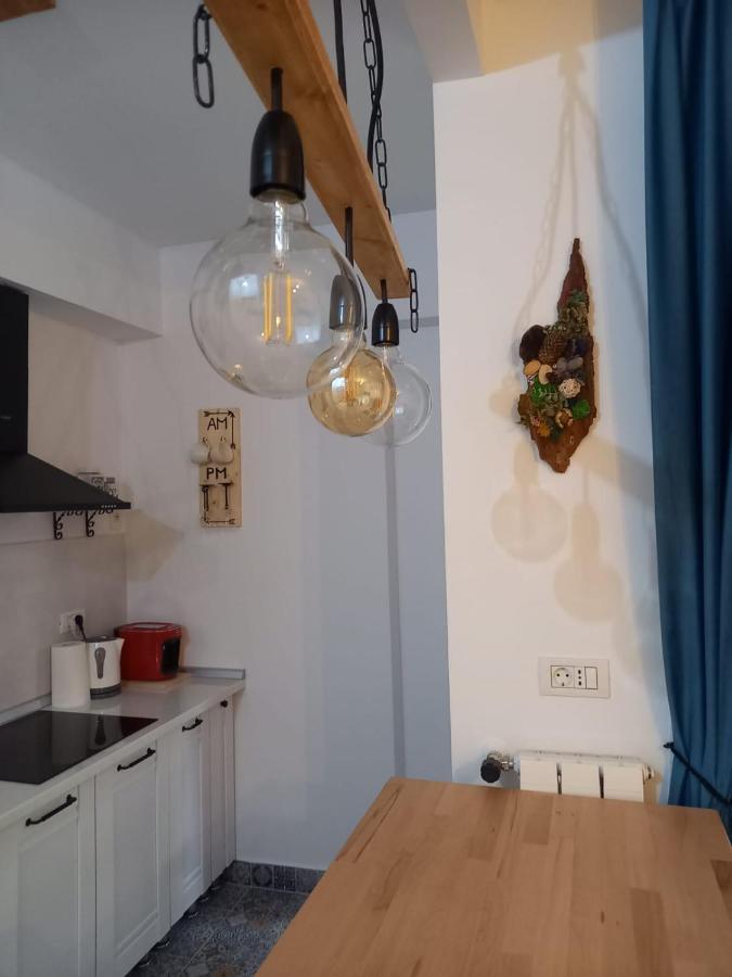 Belleview North Studio Apartment ซินายา ภายนอก รูปภาพ
