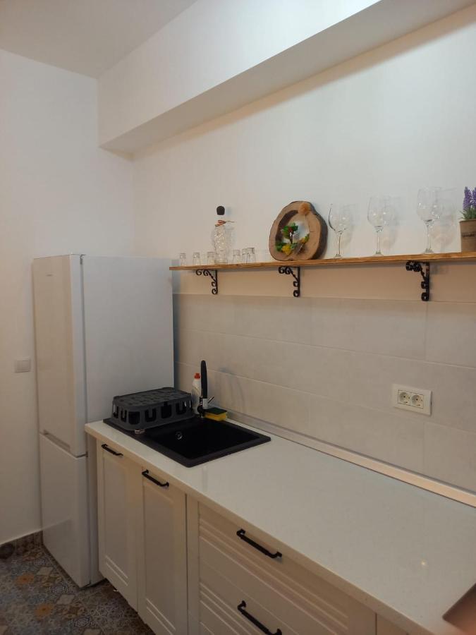 Belleview North Studio Apartment ซินายา ภายนอก รูปภาพ