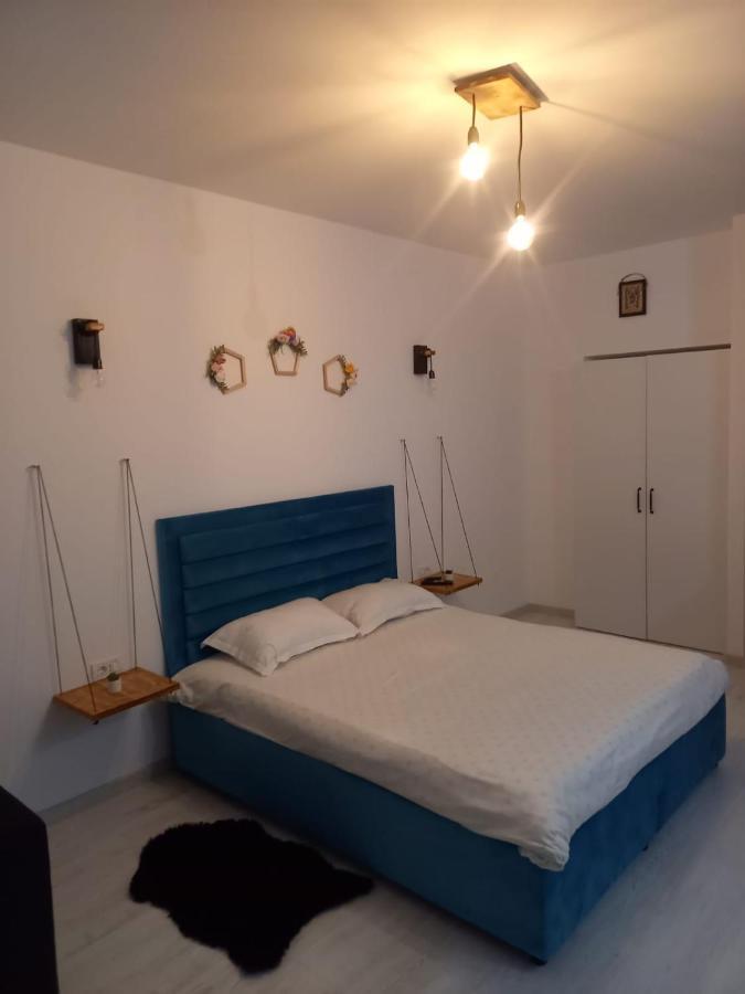 Belleview North Studio Apartment ซินายา ภายนอก รูปภาพ