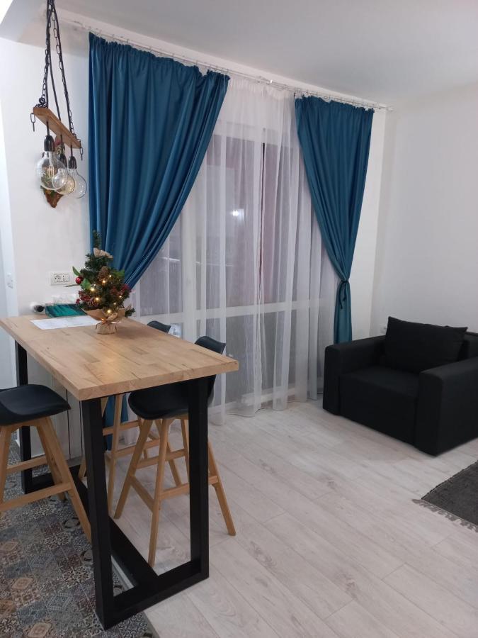 Belleview North Studio Apartment ซินายา ภายนอก รูปภาพ