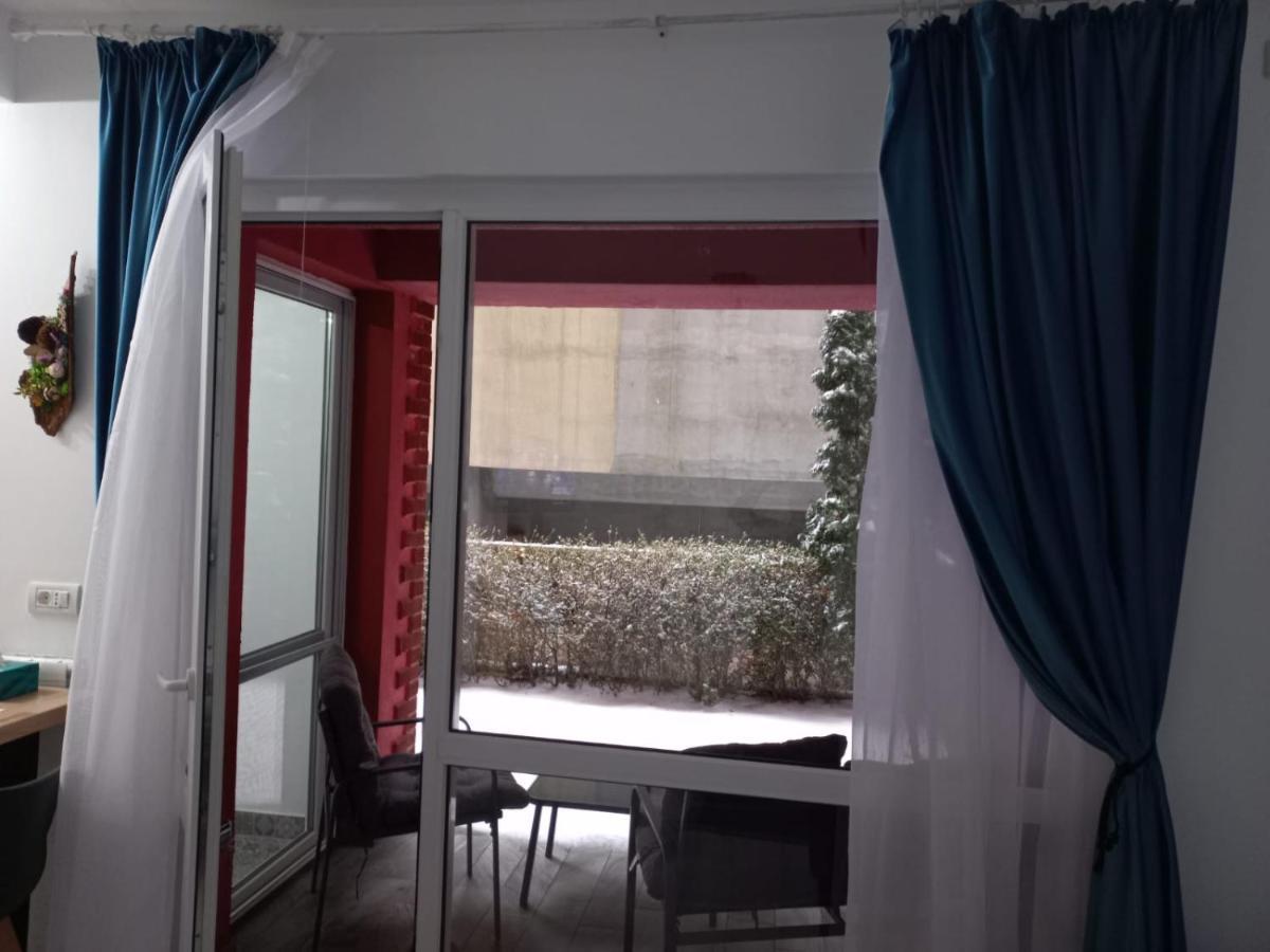 Belleview North Studio Apartment ซินายา ภายนอก รูปภาพ